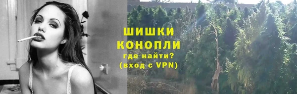 Альфа ПВП Горняк