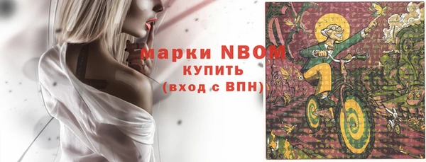кристаллы Гусь-Хрустальный