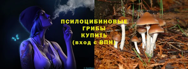 мдма Горнозаводск