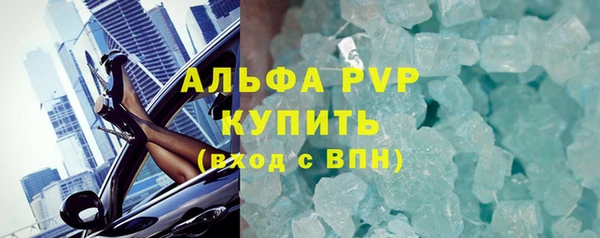 Альфа ПВП Горняк