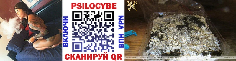 Купить  Сокол  Галлюциногенные грибы прущие грибы 